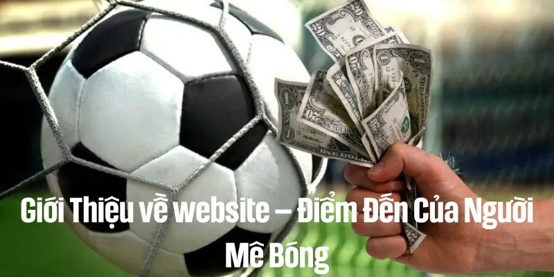 8xbet Mang Đến Trải Nghiệm Cá Cược An Toàn Và Minh Bạch