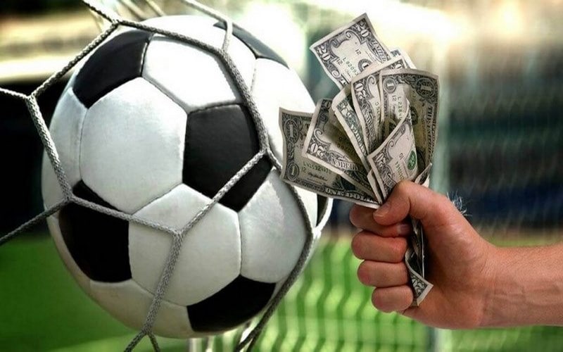 8xbet Mang Đến Trải Nghiệm Cá Cược An Toàn Và Minh Bạch